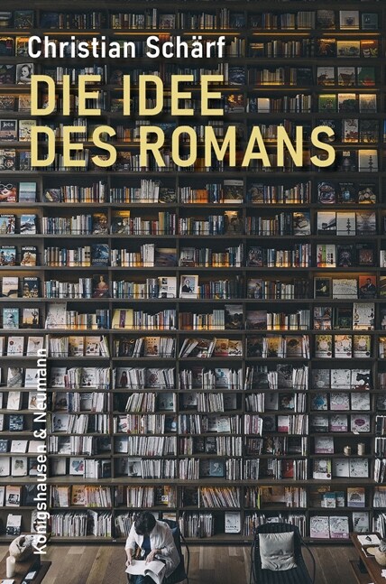 Die Idee des Romans (Hardcover)