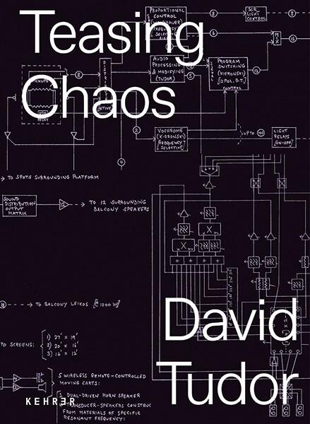 David Tudor (Paperback)