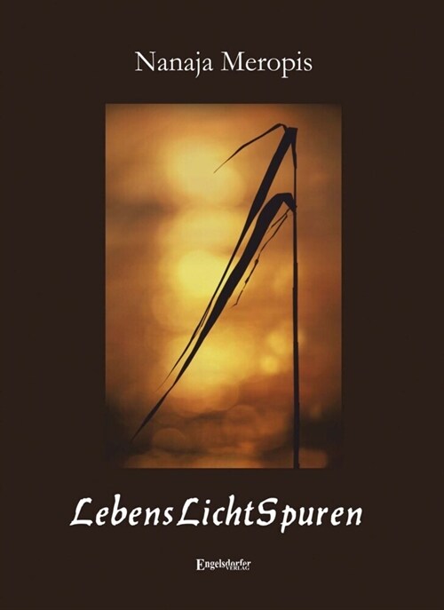 LebensLichtSpuren (Hardcover)