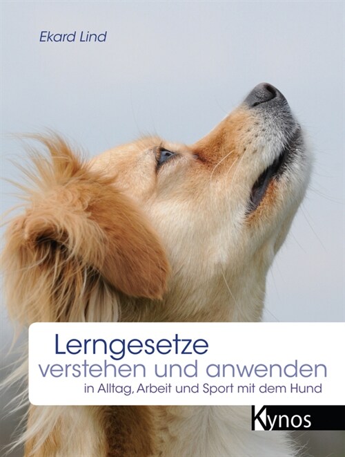 Lerngesetze verstehen und anwenden (Hardcover)