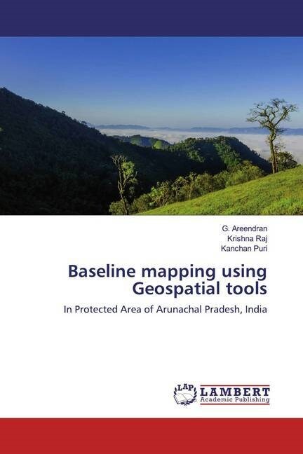 Baseline mapping using Geospatial tools (Paperback)