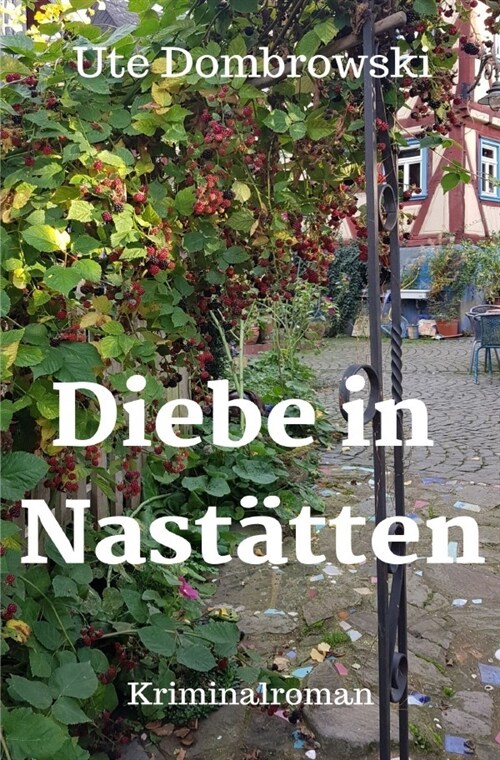 Diebe in Nastatten (Paperback)
