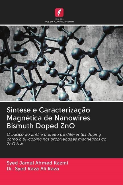 Sintese e Caracterizacao Magnetica de Nanowires Bismuth Doped ZnO (Paperback)