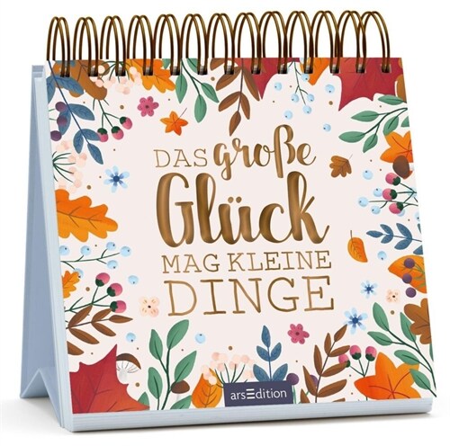 Das große Gluck mag kleine Dinge (Paperback)