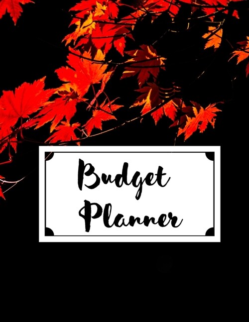 Budget Planner (Paperback)