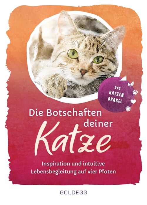 Die Botschaften deiner Katze, 48 Karten + Begleitbuch (WW)