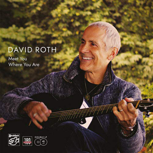 [수입] David Roth - Meet you where you are [180g 45RPM DMM LP]