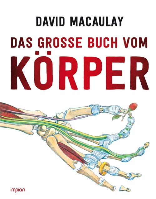 Das große Buch vom Korper (Hardcover)
