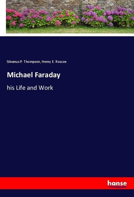 Michael Faraday (Paperback)