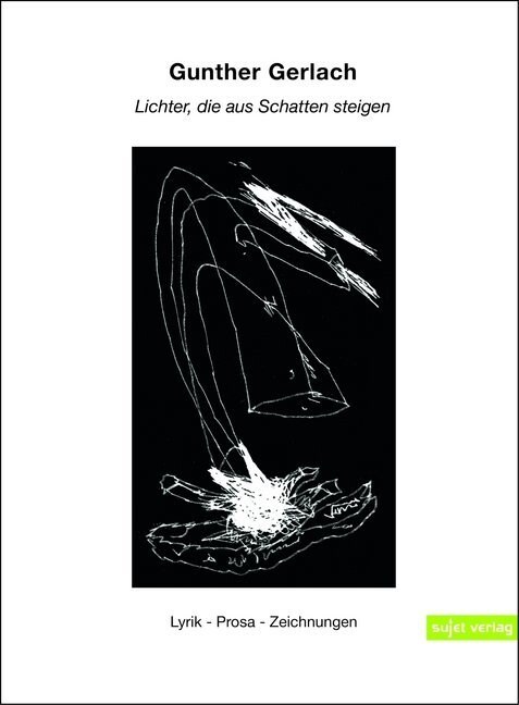 Lichter, die aus Schatten steigen (Hardcover)