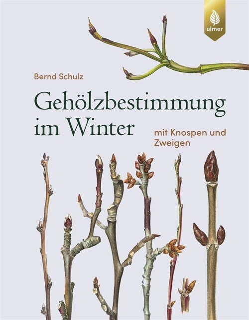 Geholzbestimmung im Winter (Hardcover)