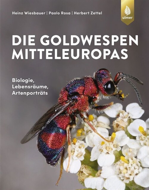 Die Goldwespen Mitteleuropas (Hardcover)