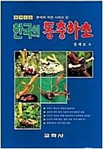 [중고] 한국의 동충하초
