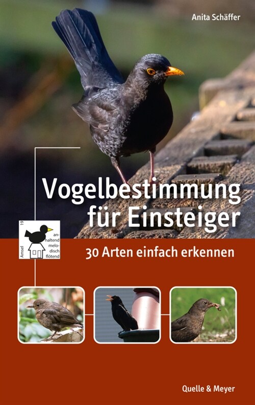 Vogelbestimmung fur Einsteiger (Paperback)