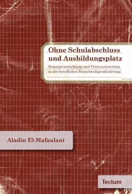 Ohne Schulabschluss Und Ausbildungsplatz: Konzeptentwicklung Und Prozesssteuerung in Der Beruflichen Benachteiligtenforderung (Paperback)