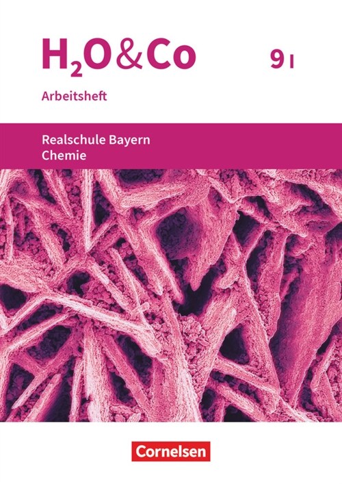 H2O & Co - Realschule Bayern 2020 - 9. Schuljahr - Wahlpflichtfachergruppe I (Paperback)