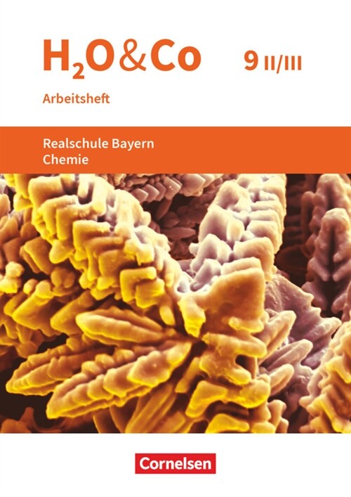 H2O & Co - Realschule Bayern 2020 - 9. Schuljahr - Wahlpflichtfachergruppe II-III (Paperback)