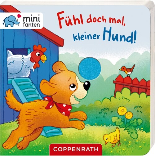 Fuhl doch mal, kleiner Hund! (Board Book)