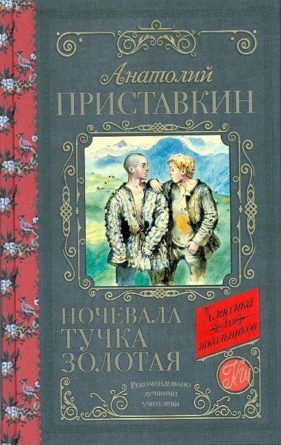 Nochevala tuchka zolotaja (Paperback)