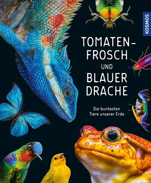 Tomatenfrosch und blauer Drache (Hardcover)