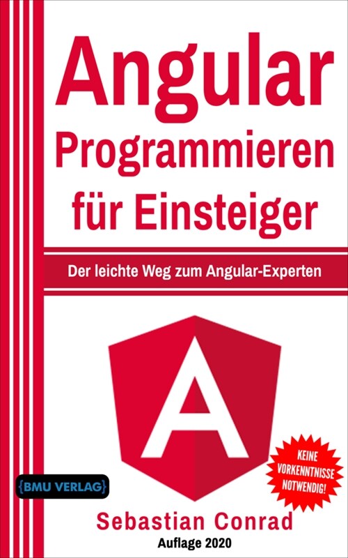 Angular Programmieren fur Einsteiger (Paperback)