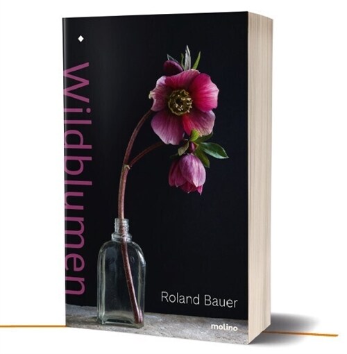 Wildblumen (Hardcover)