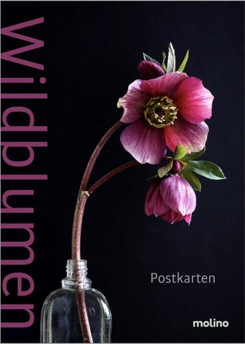 Wildblumen (Miscellaneous print)