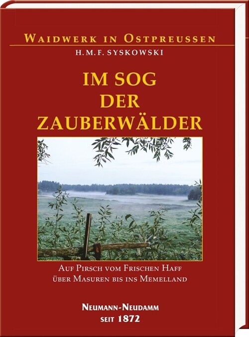 Im Sog der Zauberwalder (Hardcover)