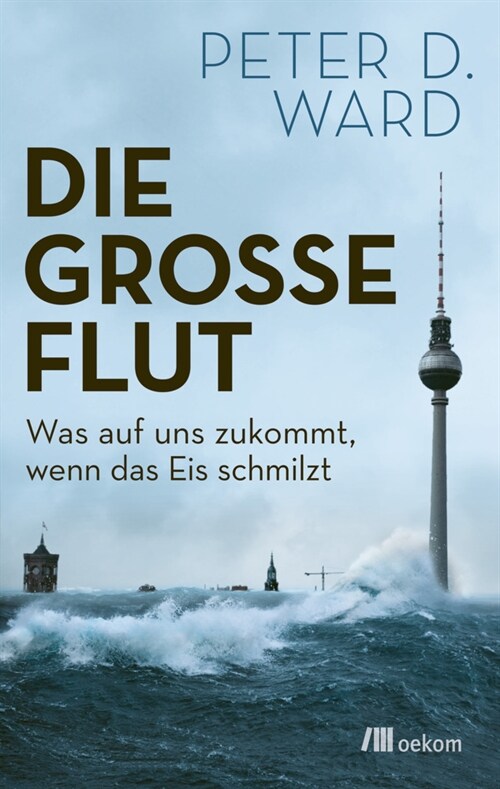 Die große Flut (Paperback)