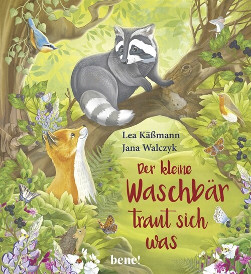 Der kleine Waschbar traut sich was (Board Book)