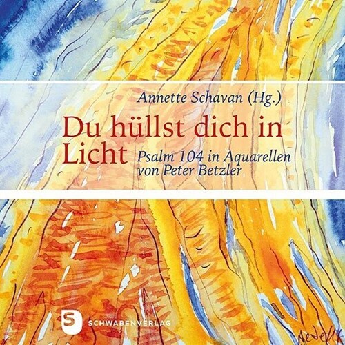 Du hullst dich in Licht (Hardcover)