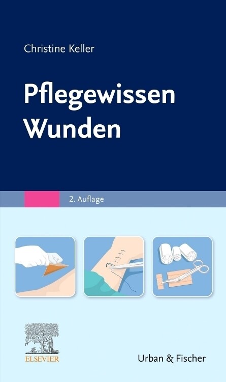 Pflegewissen Wunden (Paperback)