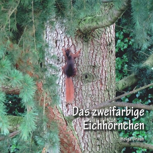 Das zweifarbige Eichh?nchen (Paperback)