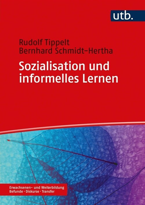 Sozialisation und informelles Lernen (Paperback)