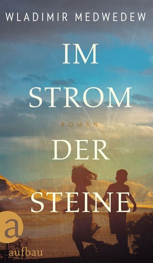 Im Strom der Steine (Hardcover)