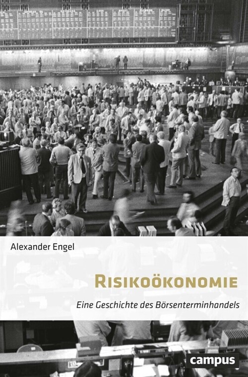 Risikookonomie (Hardcover)