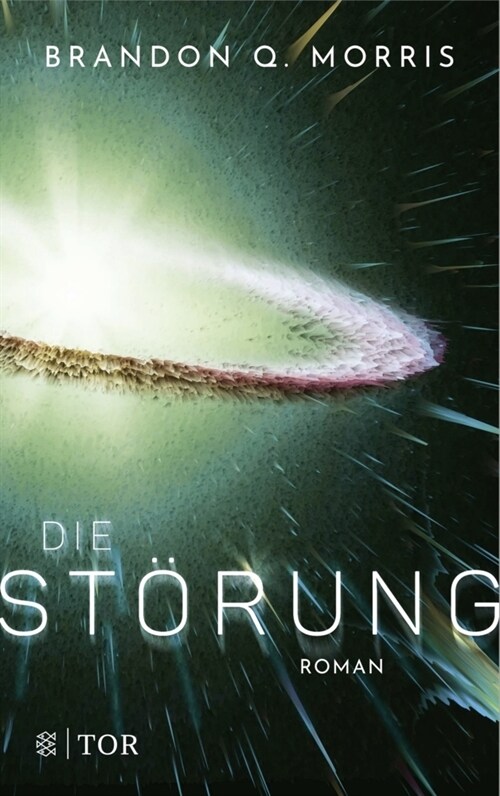 Die Storung (Paperback)