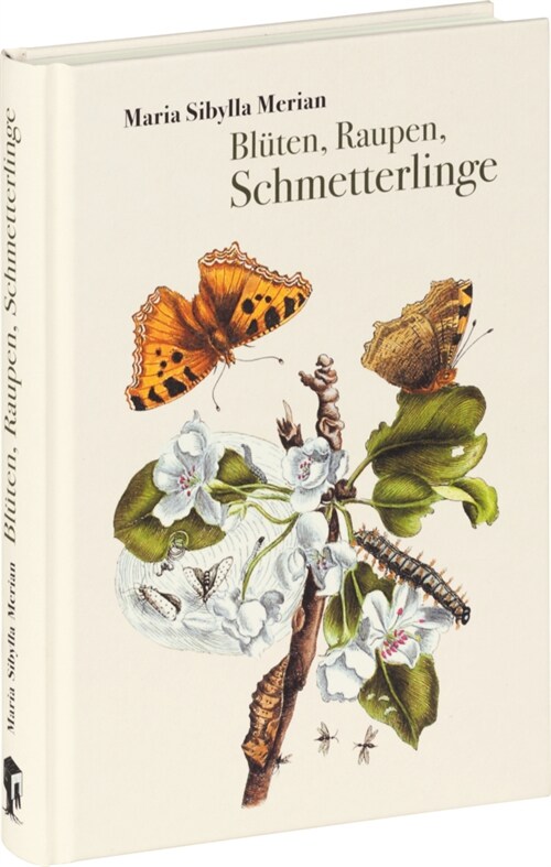 Bluten, Raupen, Schmetterlinge (Hardcover)