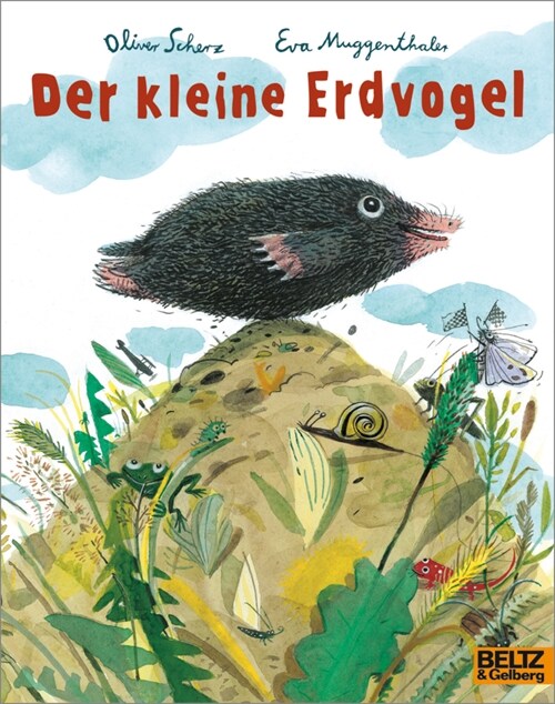 Der kleine Erdvogel (Paperback)