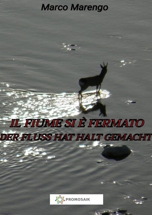 Il fiume si e fermato / Der Fluss hat Halt gemacht (Paperback)