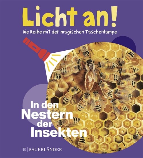 In den Nestern der Insekten (Board Book)