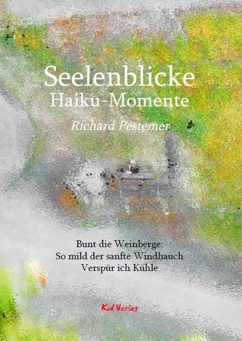 Seelenblicke (Hardcover)