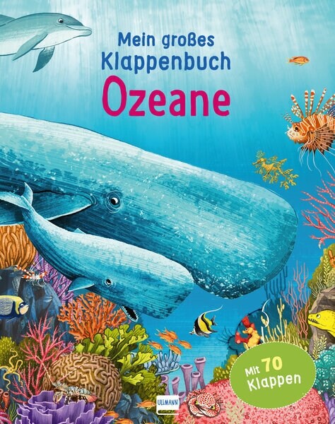 Mein großes Klappenbuch - Ozeane (Board Book)