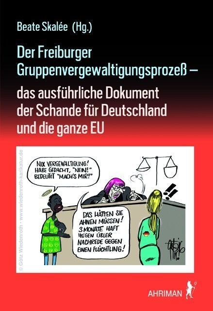 Der Freiburger Gruppenvergewaltigungsprozeß - (Paperback)