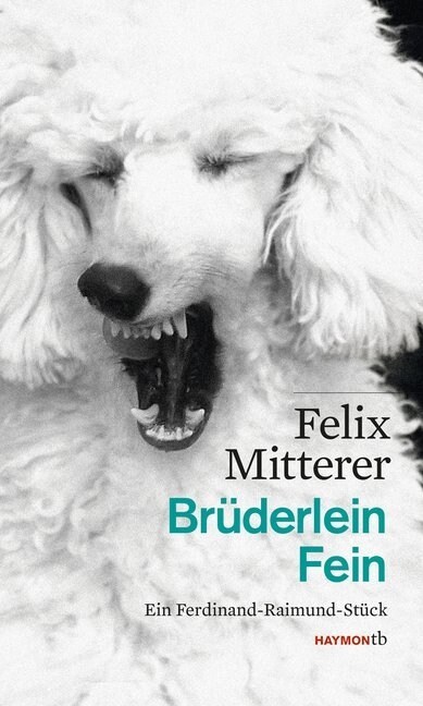 Bruderlein Fein (Paperback)