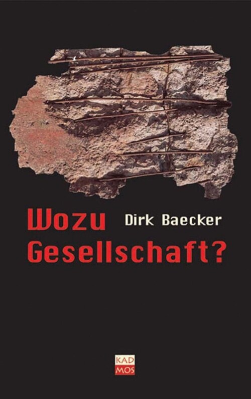 Wozu Gesellschaft (Hardcover)