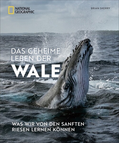 Das geheime Leben der Wale (Hardcover)