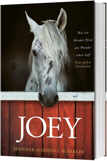 Joey - Wie ein blindes Pferd uns Wunder sehen ließ (Hardcover)