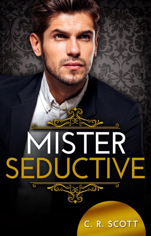 Mister Seductive (Paperback)