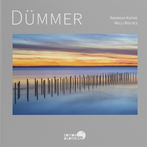 DUMMER (Hardcover)